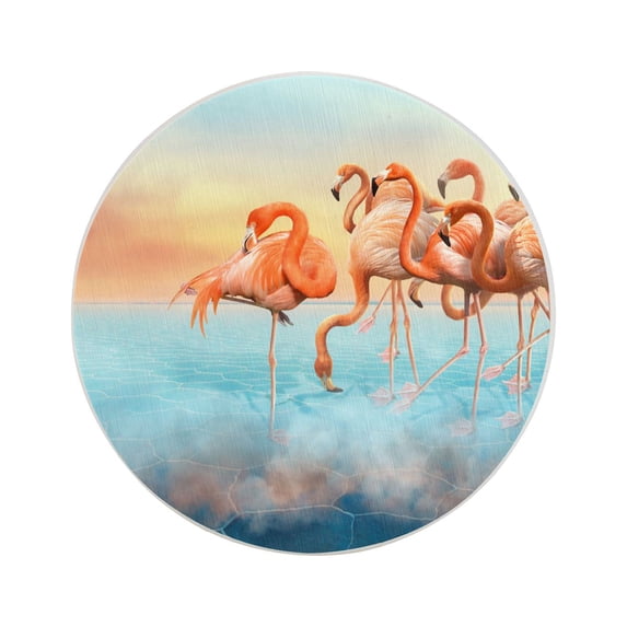 Circular Drink Coasters Set Beautiful Flamingo Beautiful Home Decor Diatomite Heat-Resistant Diatomite Protect Table Countertop