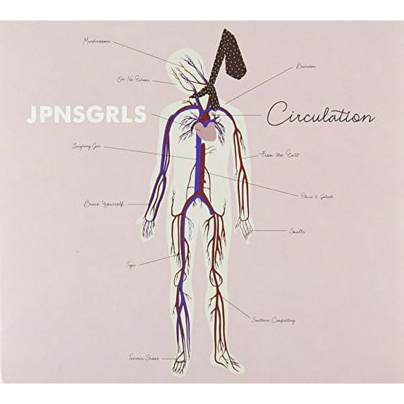 Circulation