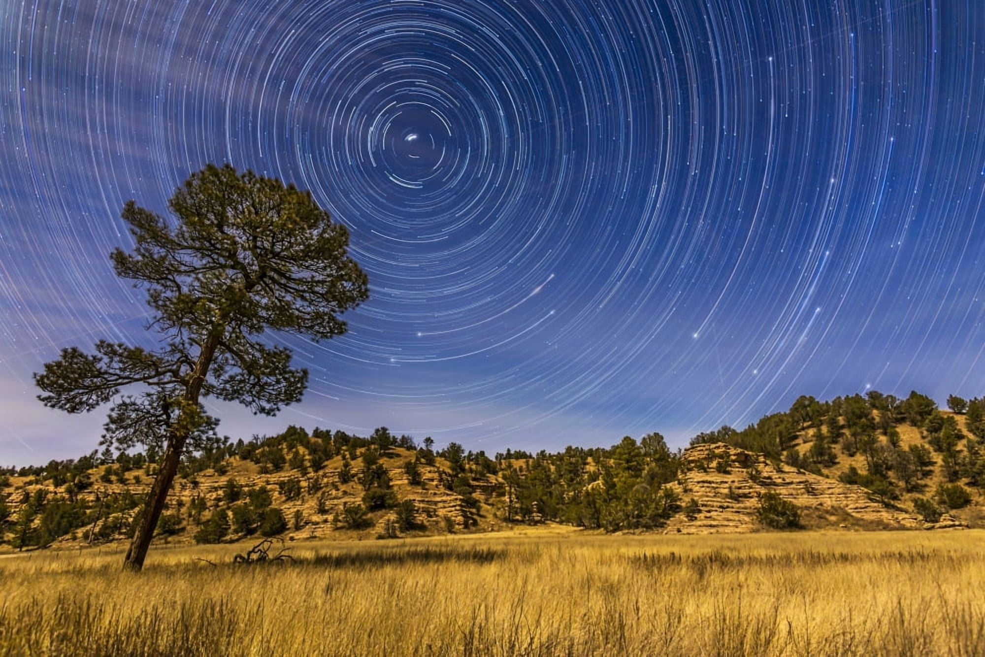 Circumpolar star trails over Mimbres Valley in the Gila National Forest New Mexico Canvas Art - Alan DyerStocktrek Images (17 x 12)