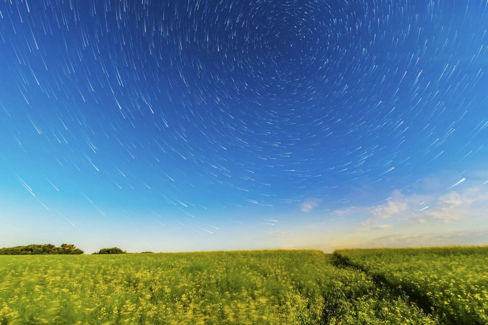 Circumpolar star trails over a canola field in southern Alberta Canada Canvas Art - Alan DyerStocktrek Images (18 x 12)