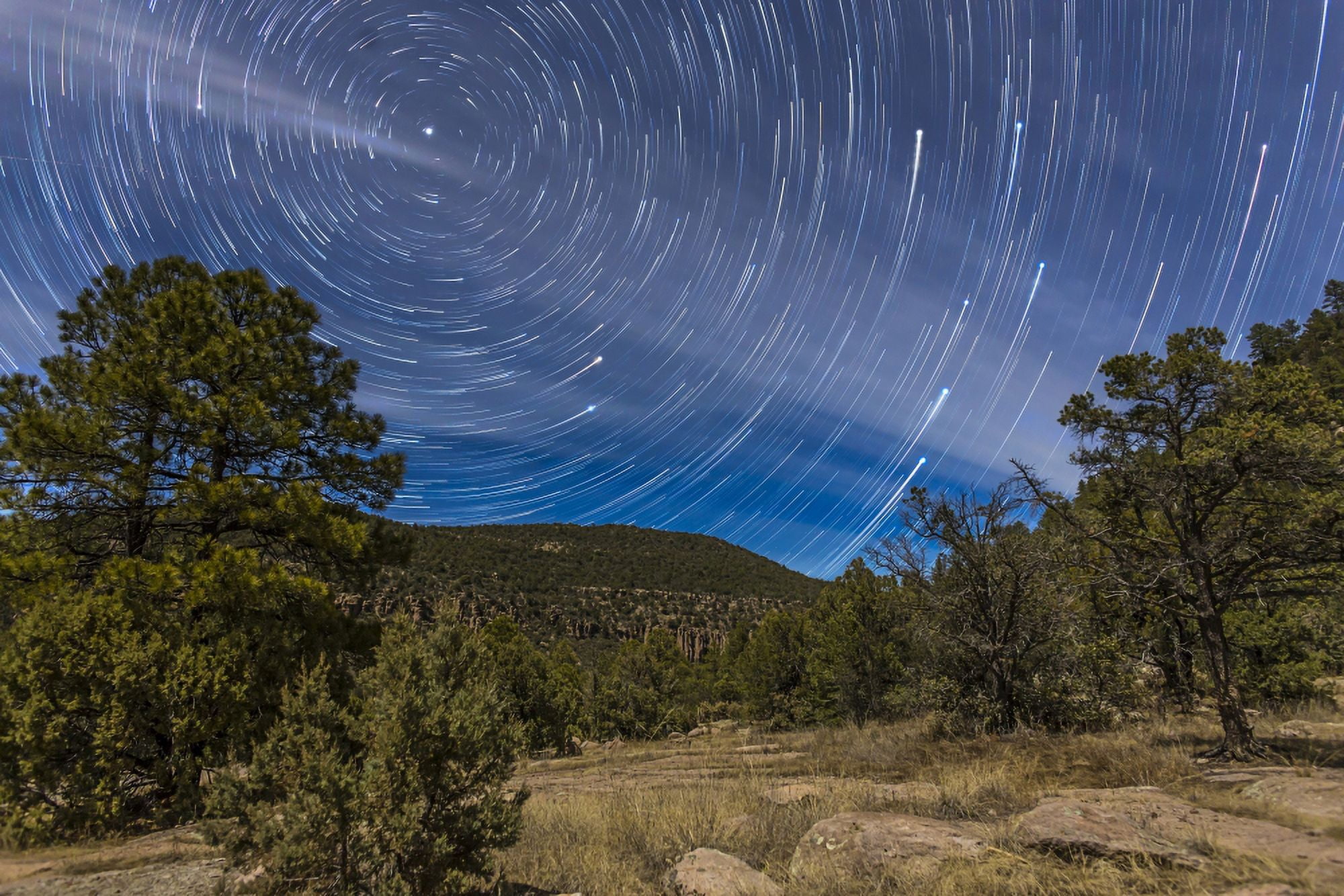 Circumpolar star trails over the Gila National Forest in southern New Mexico Canvas Art - Alan DyerStocktrek Images (34 x 23)