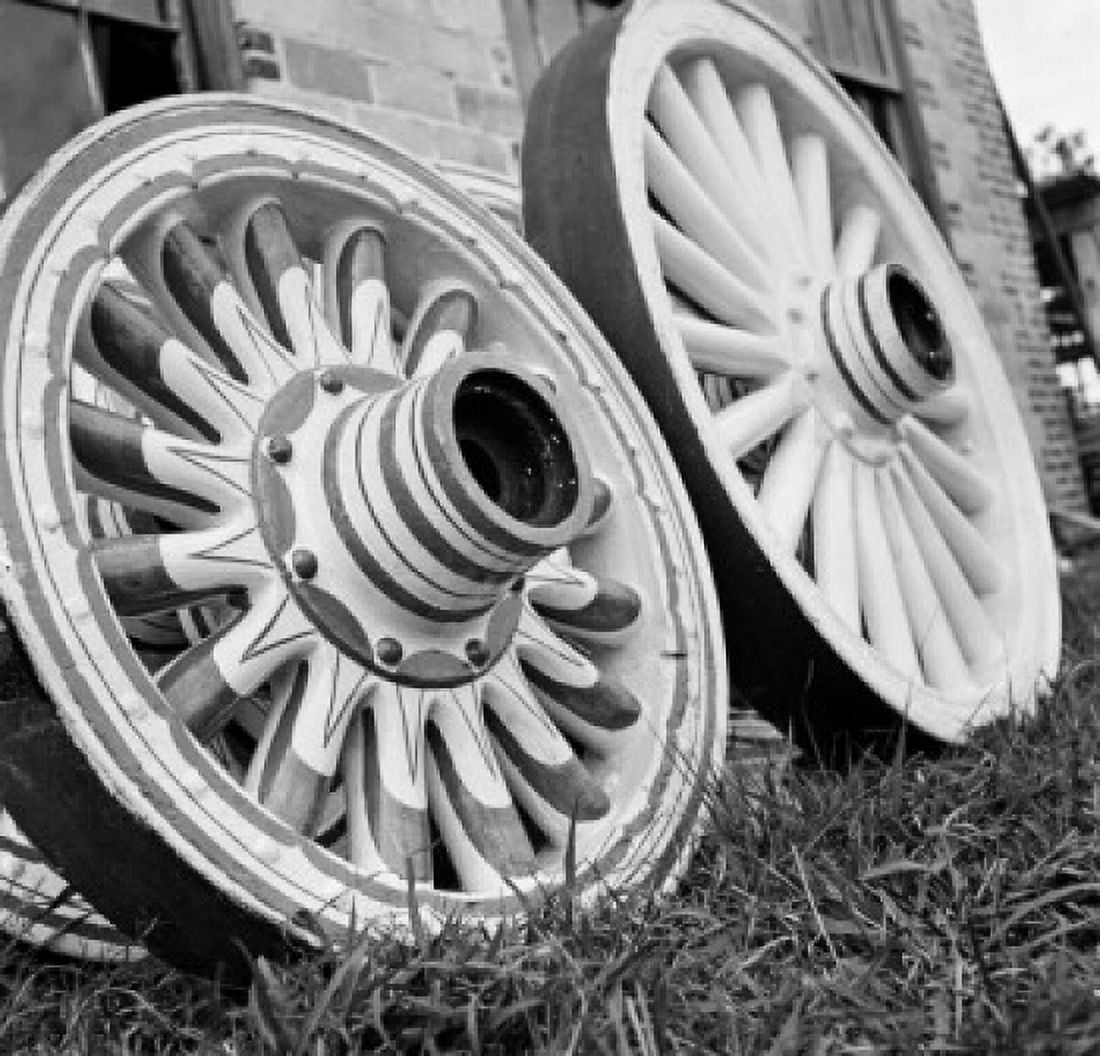 Circus Wheels Canvas Art - (24 x 36)