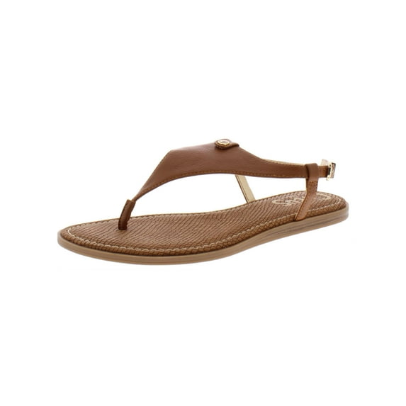 Circus by Sam Edelman Womens Carolina Buckle Thong Sandals Brown 9 Medium (B,M)