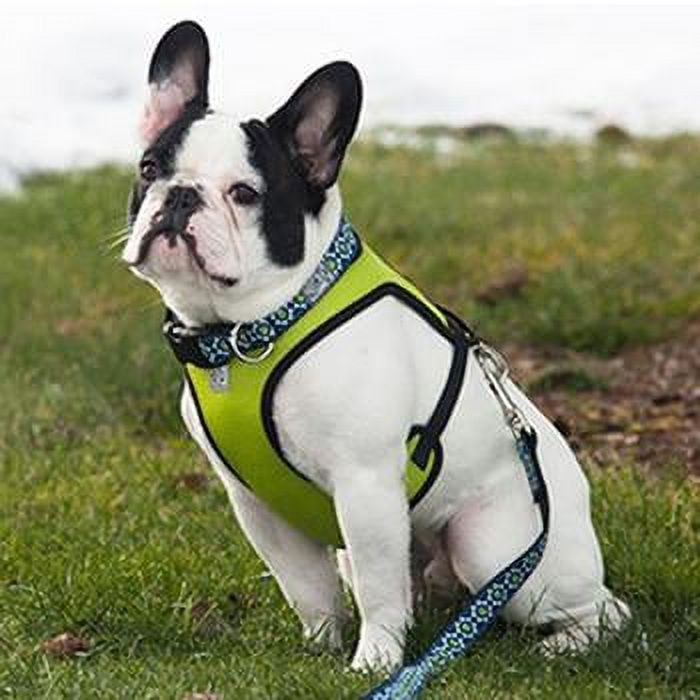 Cirque Dog Harness Lime Green Air Mesh X-Small