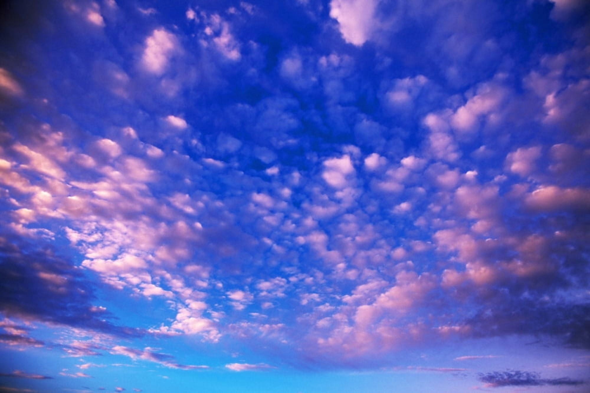 Cirrus Clouds Canvas Art - Natural Selection Craig Tuttle Design Pics (18 x 12)