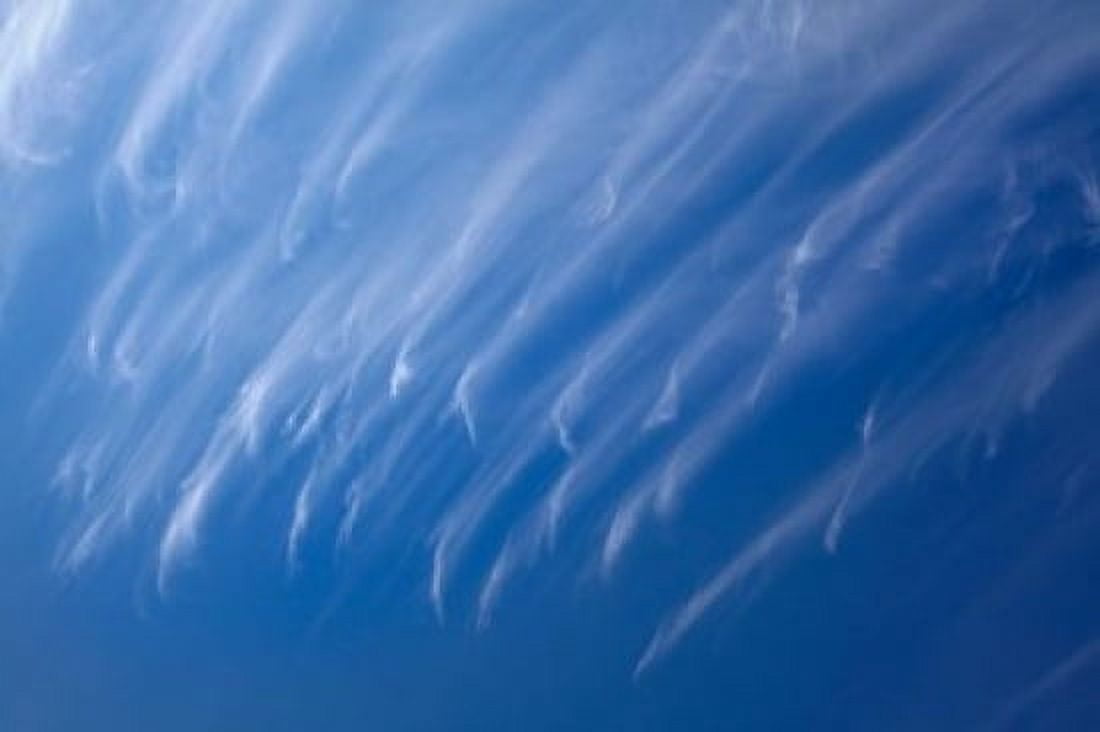 Cirrus Clouds Dunedin Otago South Island New Zealand Canvas Art - David Wall DanitaDelimont (19 x 12)