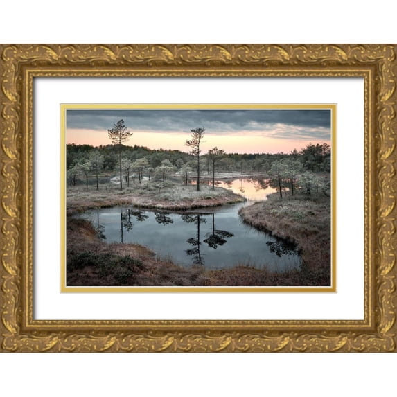 Cirulis, Reinis 14x11 Gold Ornate Wood Framed with Double Matting Museum Art Print Titled - Spilled Paint