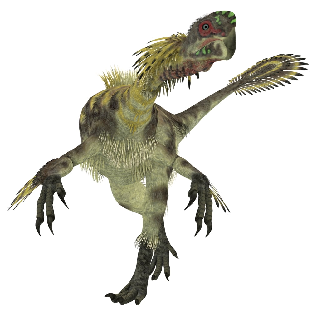 Citipati dinosaur white background Canvas Art - Corey FordStocktrek Images (29 x 29)