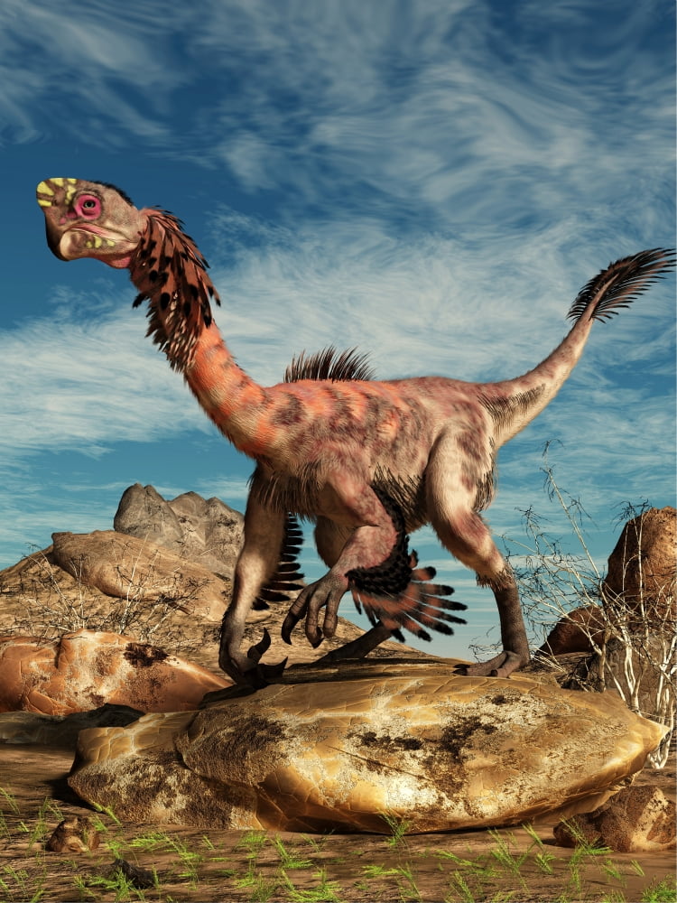 Citipati on a rock in an arid landscape Canvas Art - Daniel EskridgeStocktrek Images (25 x 33)