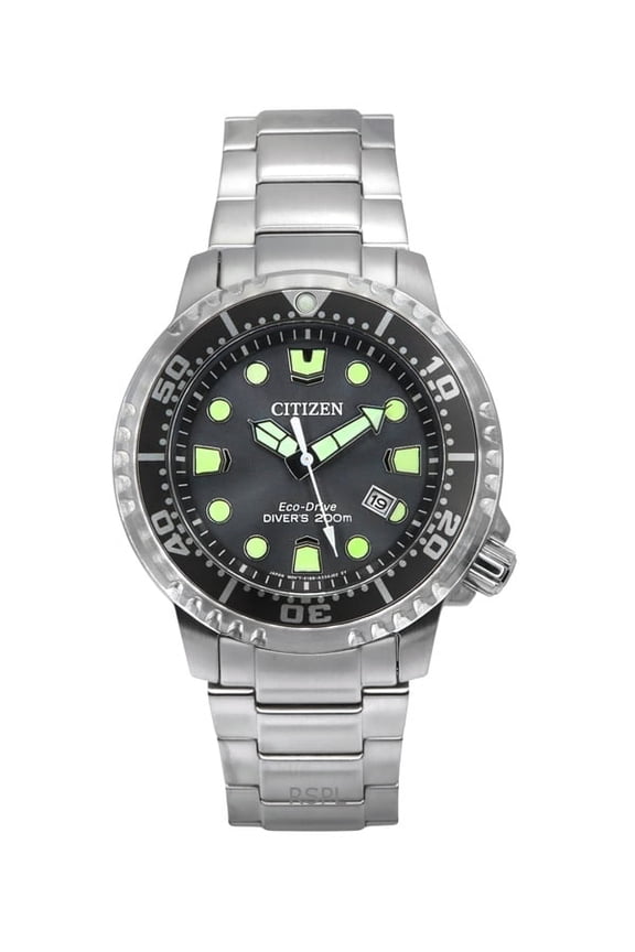 Promaster Dive Eco-Drive Stainless Steel Grey Dial Diver's BN0167-50H 200M Men's Watch