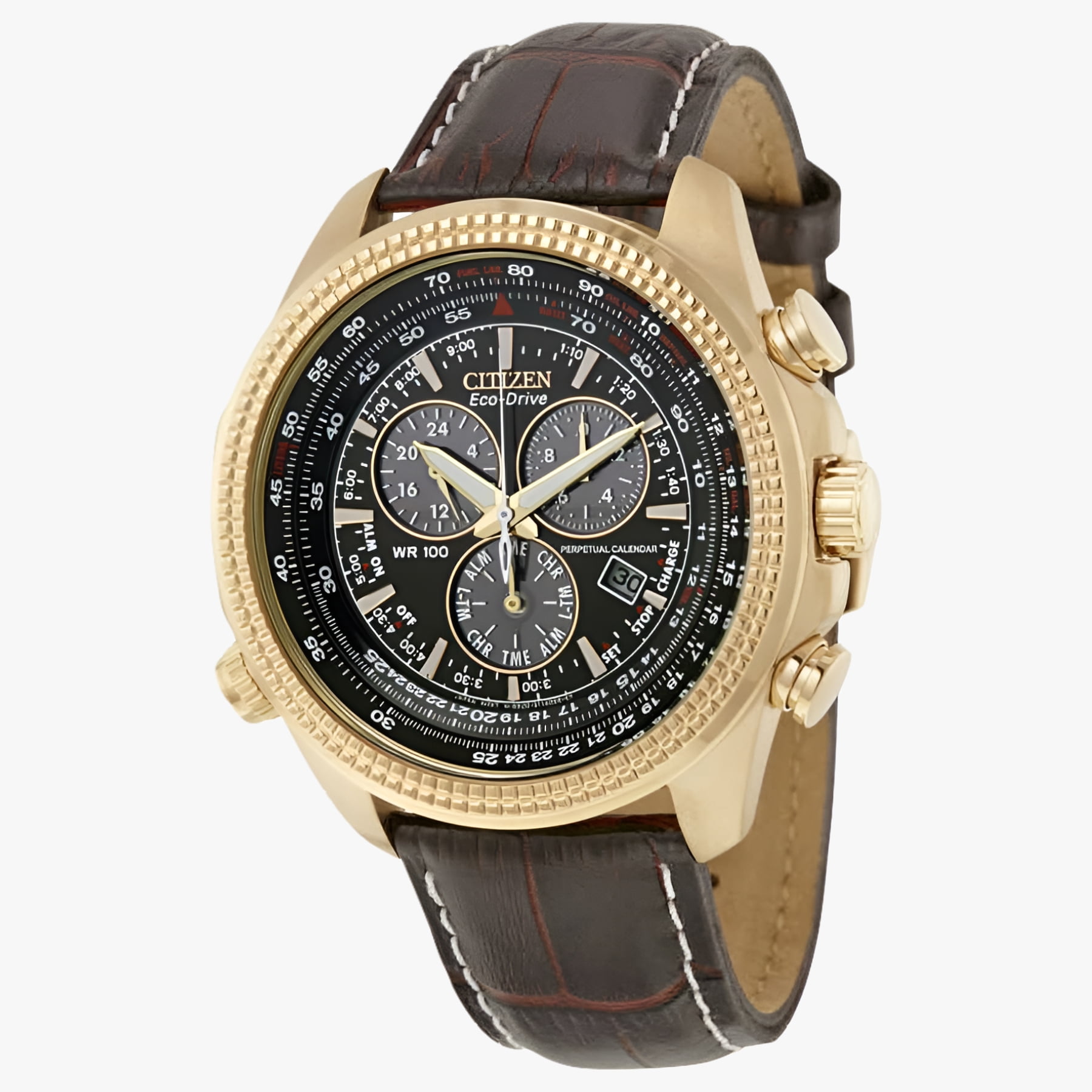 Citizen Men's Eco-Drive Watch with Perpetual Kenya Ubuy
