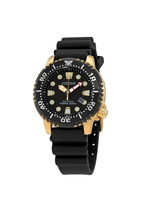 Professional Diver Black Dial Men's Watch BN0152-06E