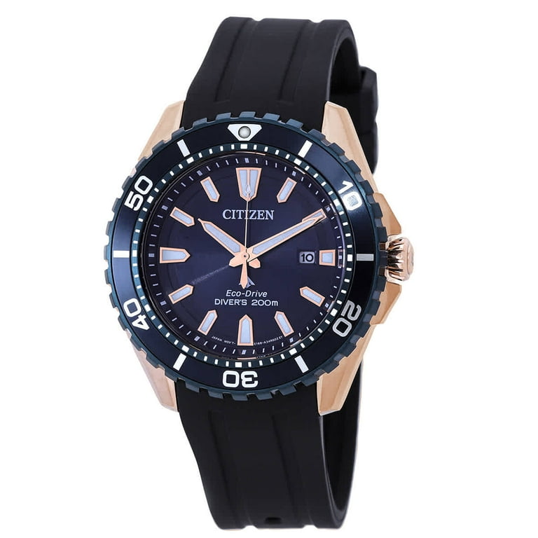 シチズン PROMASTER BN0196-01L Citizen Promaster Dive Eco-Drive Blue Dial Men's Watch BN0196-01L