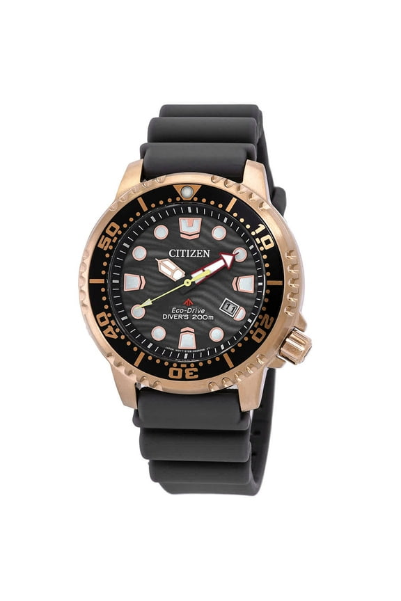 Promaster Dive Eco-Drive Gray Dial Men's Watch BN0163-00H