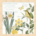 thumbnail image 1 of Citron Curiosities III by Katie Pertiet, Framed Wall Art, 13.25W x 13.25H, 1 of 1