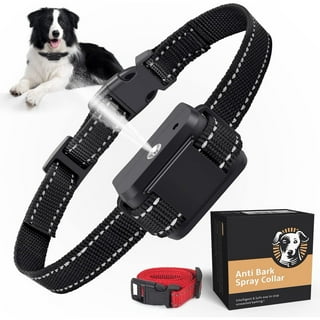No bark collar walmart discount