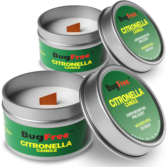 Coleman Citronella Candles In Tin Mugs – Pine Scented (3-Pack, 50hr Burn)