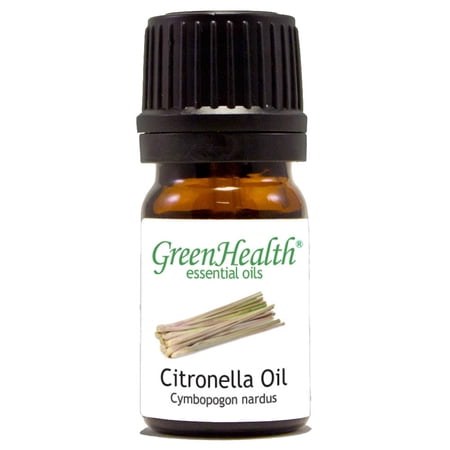 Citronella Essential Oil - 1/6 fl oz (5 ml) Glass Bottle w/ Euro Dropper - 100% Pure Essential Oil by GreenHealth