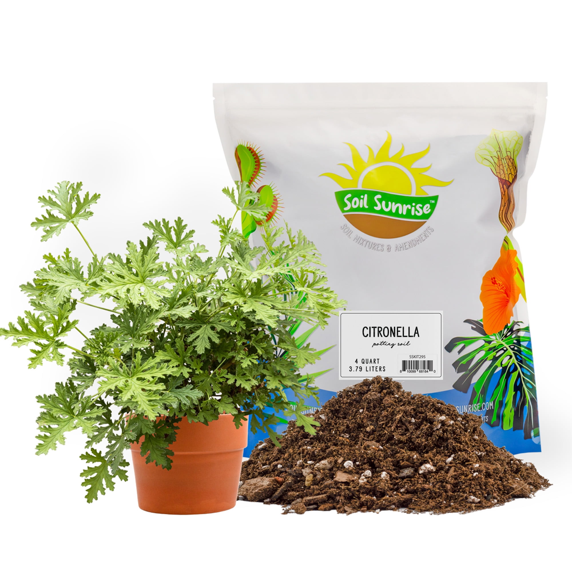 Citronella Plant Potting Soil Mix (4 Quarts), for Growing and Repotting Pelargonium Citrosum