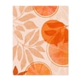 thumbnail image 1 of Citrus Collage - Painting Abstract Fruit Botanical Minimalist Modern Art Geometric Autumn Unframed Wall Art Print 20 x 24 inches, 1 of 13