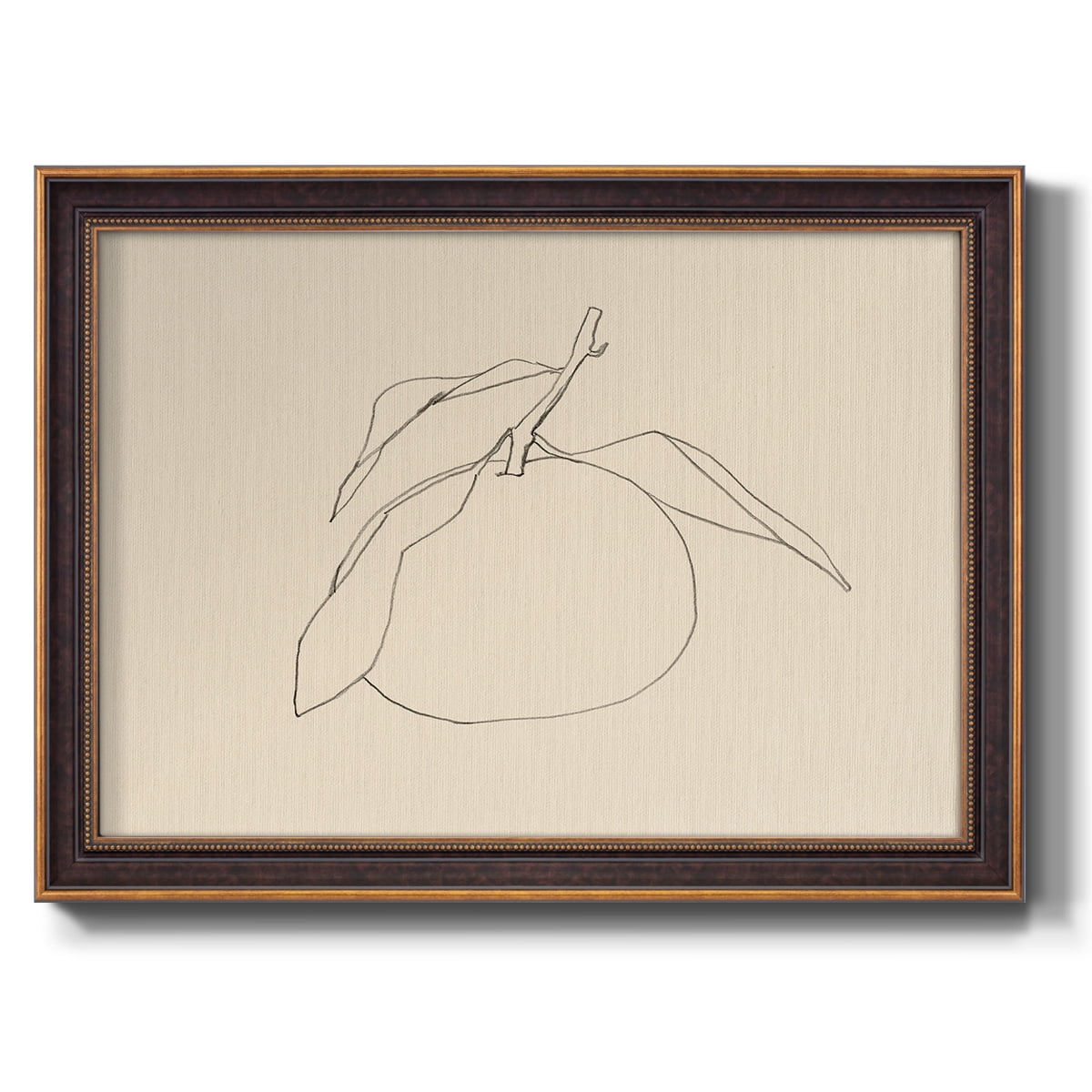 Citrus Contour I Premium Framed Canvas- Ready to Hang