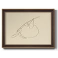 thumbnail image 1 of Citrus Contour II Premium Framed Canvas- Ready to Hang, 1 of 1