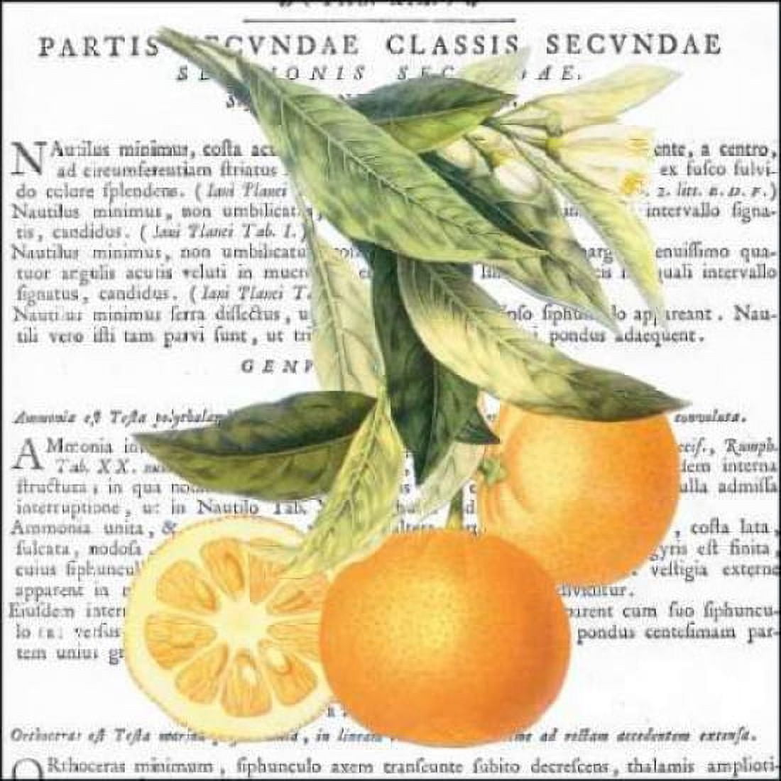 Citrus Edition II Canvas Art - Cory Bannister (24 x 24)
