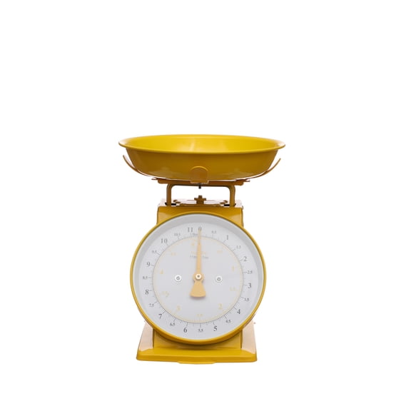 Citrus Kitchen Scale by Ashland - Spring Home Decor