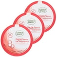 thumbnail image 1 of Citrus Magic Holiday Odor Absorbing Solid Air Freshener, Holly Jolly Peppermint, 7 oz., 3 Pack, 1 of 6