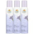 thumbnail image 1 of Citrus Magic, Lavender Escape, Natural Odor Eliminating Air Freshener Spray, 3-Ounce, Pack of 3, 3 Ounce Count, 1 of 3