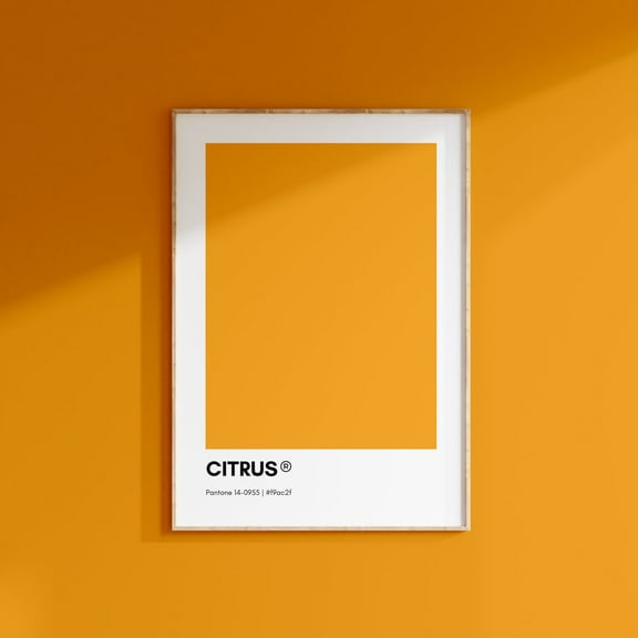 Citrus Orange Pantone, Orange Pantone Print Poster, Orange Pantone Wall Art, Pantone Colors, Pantone Print, Color Swatch Wall Art, Modern Wall Decor, 24x36 UNFRAMED