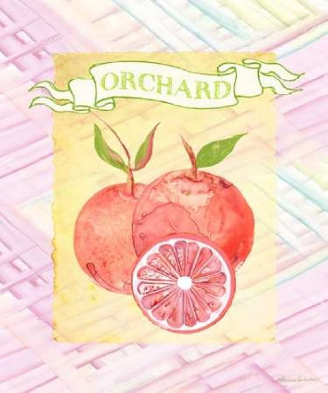 Citrus Orchard 2 Canvas Art - Patricia Haberier (20 x 24)