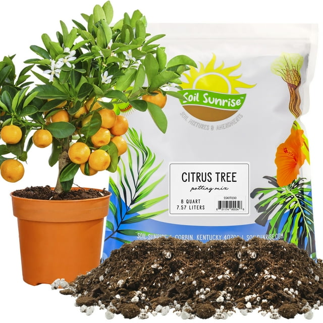 Citrus Tree Potting Soil Mix (8 Quarts), Special Blend for Indoor