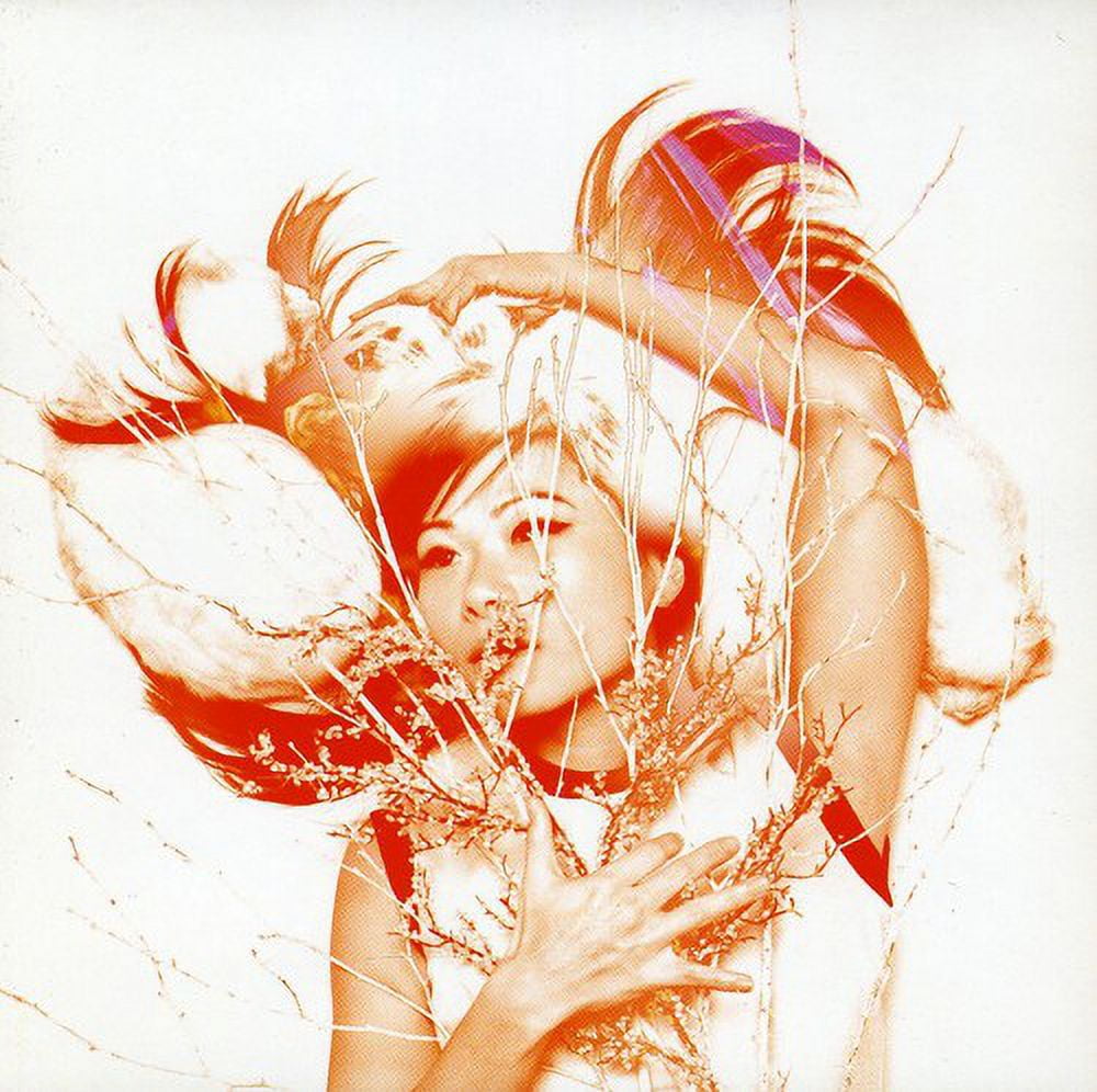 邦楽 The Whoops Citrus Citrus - Walmart.com