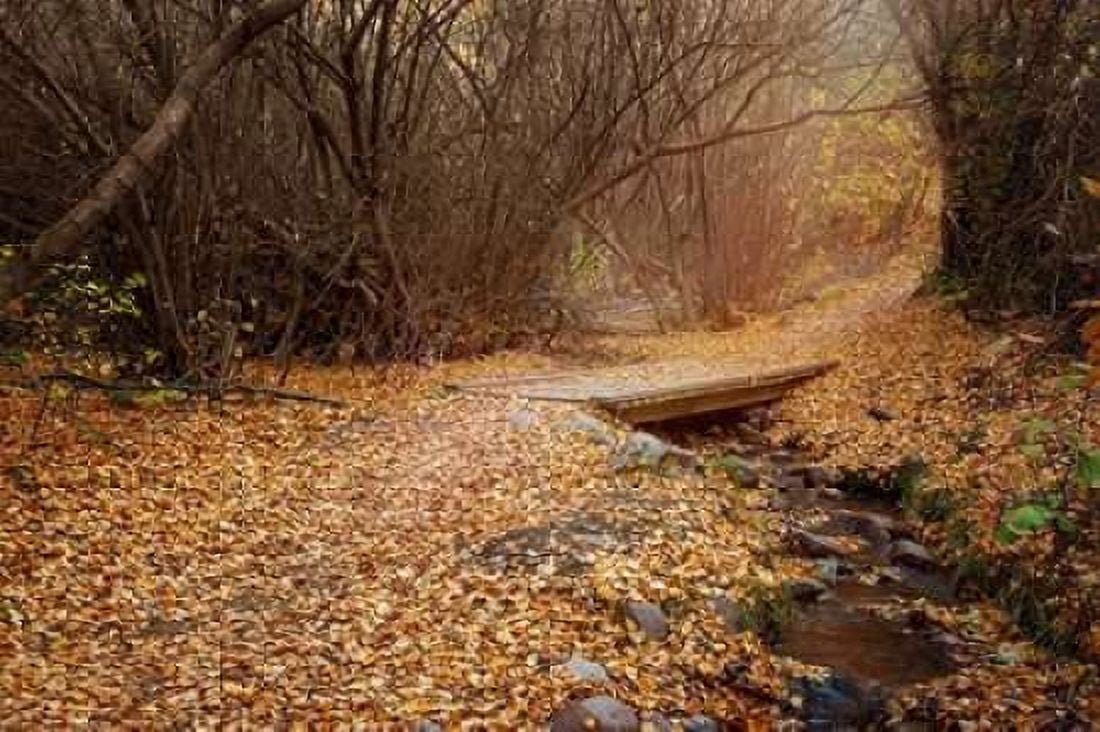 City Creek Canvas Art - Ramona Murdock (24 x 36)