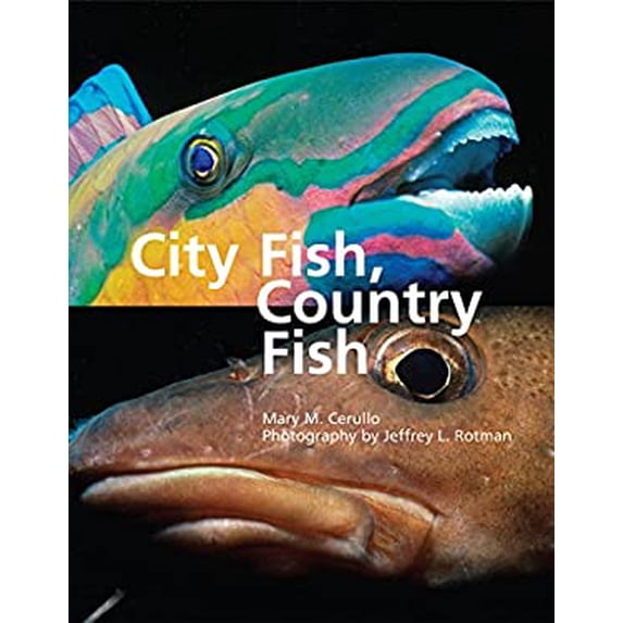 Pre-Owned City Fish, Country Fish (Hardcover) 0884483231 9780884483236