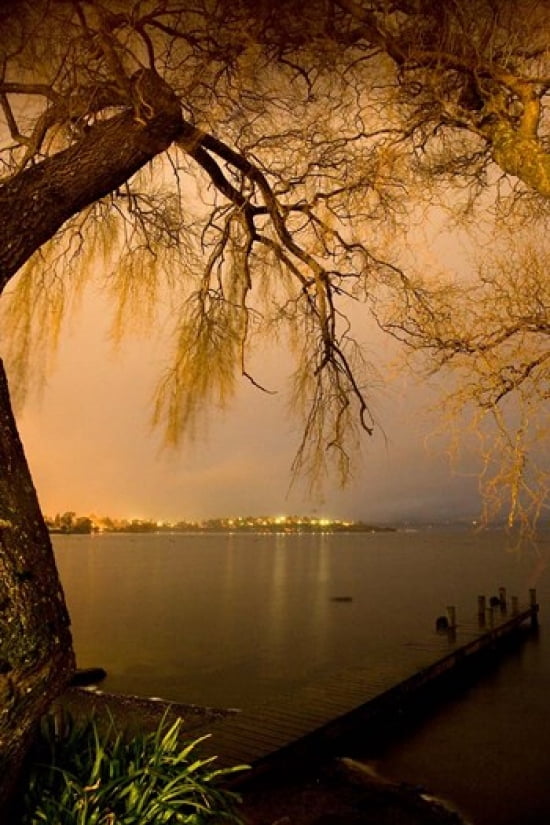 City Lights across Lake Rotorua Rotorua Bay of Plenty North Island New Zealand Canvas Art - David Wall  DanitaDelimont (23 x 34)