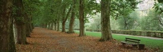 City Park w bench in autumn Tubingen Germany Canvas Art - Panoramic Images (36 x 12)