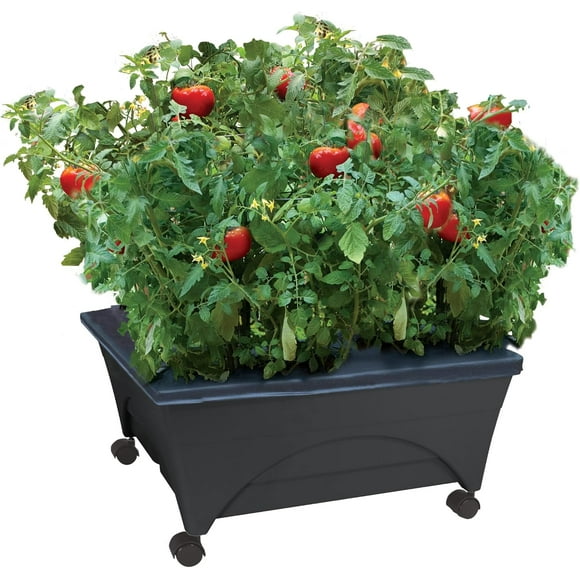 City Picker Raised Bed Grow Box, Self-Watering, Improved Aeration, Mobile with Casters, Outdoor Garden Planter, 2-Tier Design, Durable Plastic, Easy Assembly