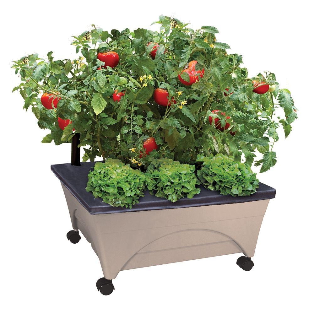 Sand Rectangular Resin Raised Bed Grow Box with Casters