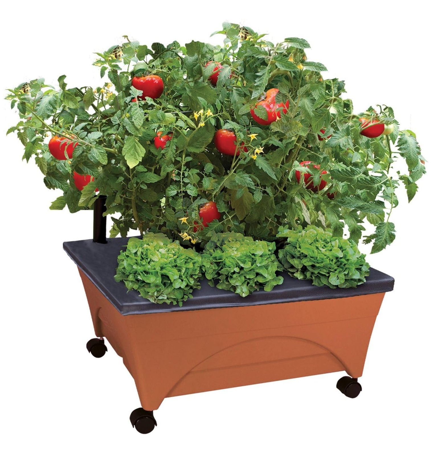 Terracotta Resin Elevated Garden Box with Casters