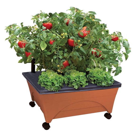 City Picker Raised Bed Grow Box  Self Watering and Improved Aeration  Mobile Unit with Casters