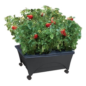 City Picker Raised Bed Grow Box – Self Watering and Improved Aeration – Mobile Unit with Casters