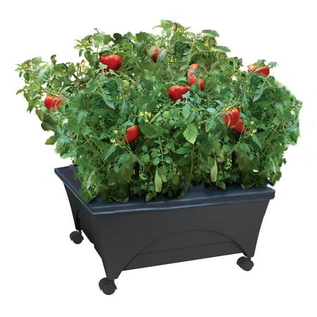 City Picker Raised Bed Grow Box – Self Watering and Improved Aeration – Mobile Unit with Casters