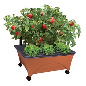 City Picker Patio Grow Box, Self-Watering with Mobile Casters