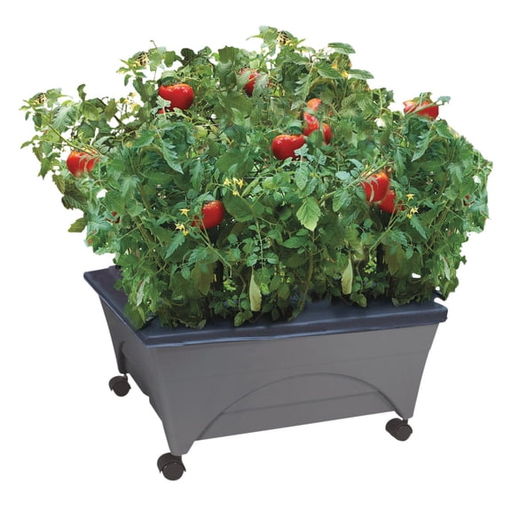 Unbranded City Picker Raised Bed Grow Box - Self-Watering, Mobile with Casters - Gray  Home & Garage Storage, Stackable Design