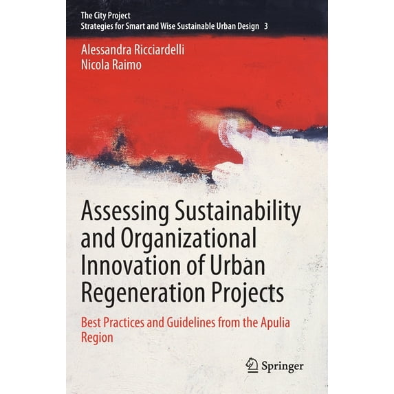 The City Project Assessing Sustainability and Organizational Innovation of Urban Regeneration Projects: Best Practices and Guidelines fro, Book 3, (Hardcover)