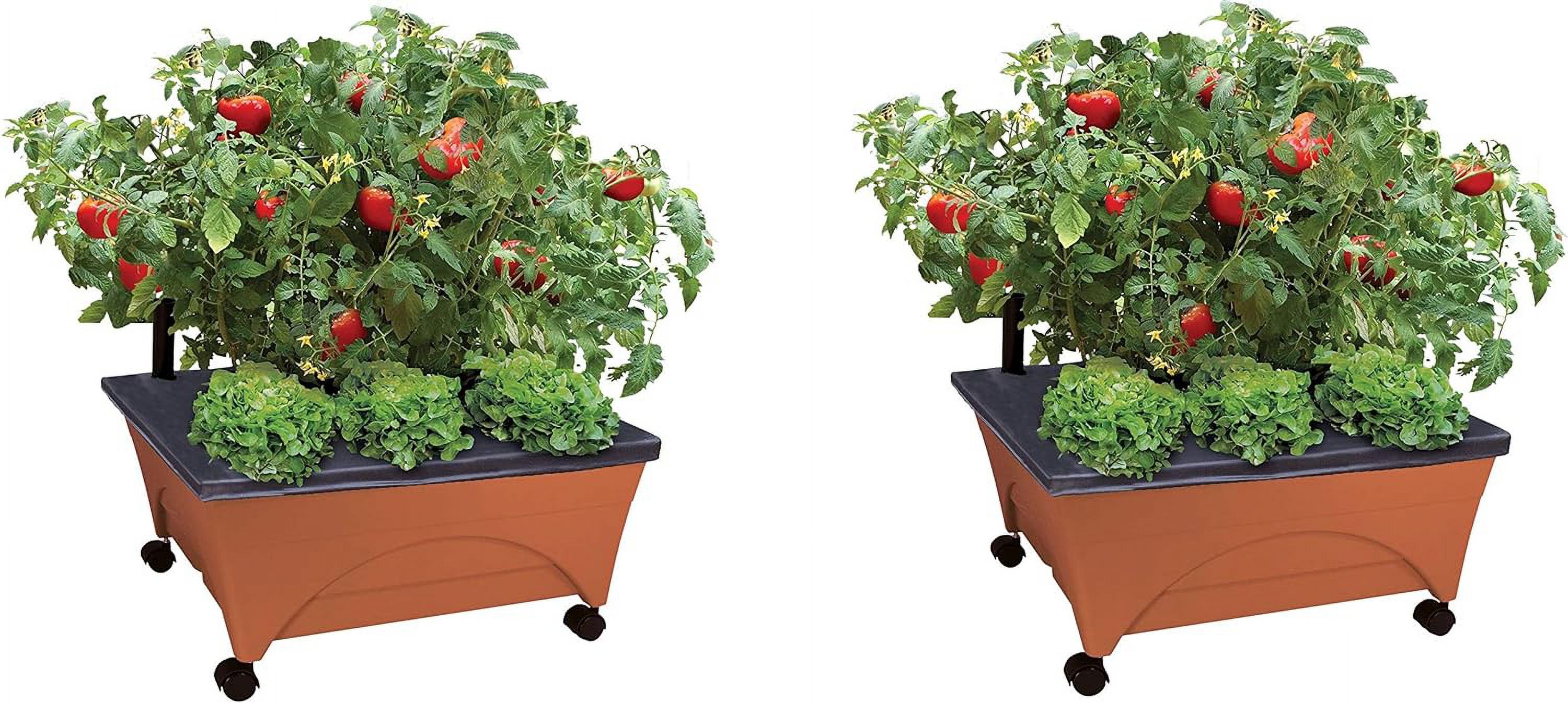 City Raised Bed Grow Box Self Watering And Improved Aeration Mobile