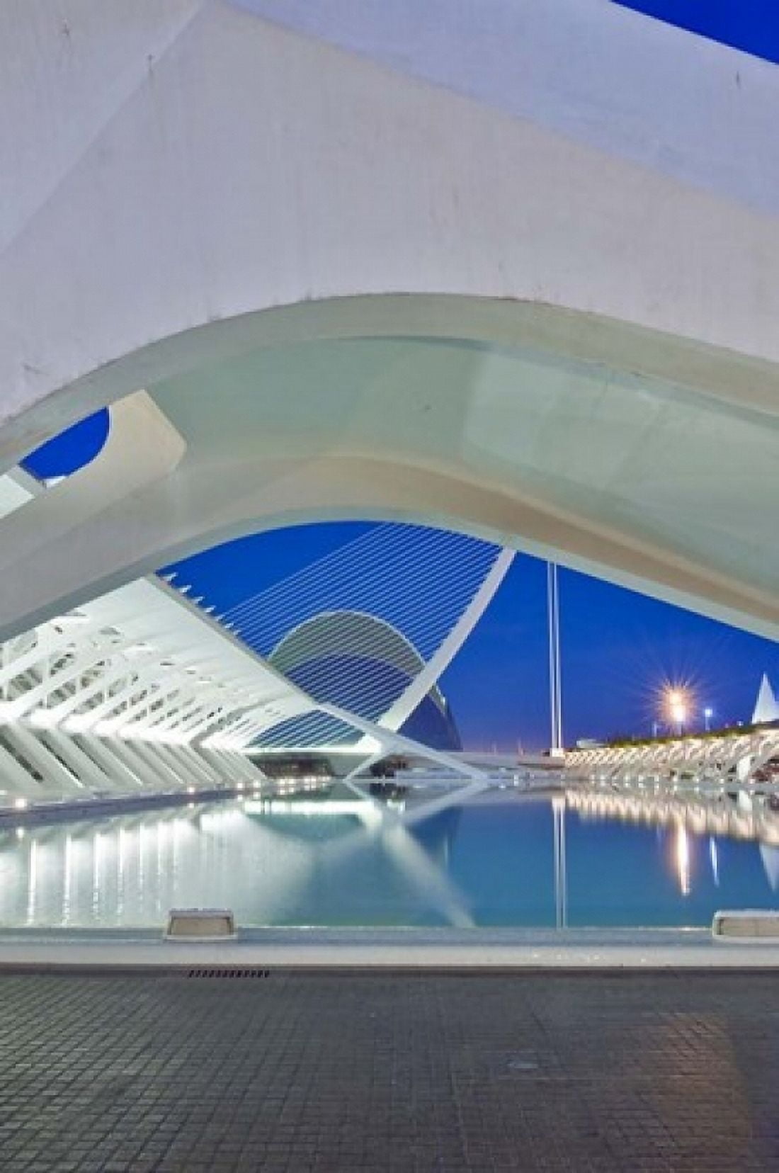 City of Arts and Sciences Valencia Spain Canvas Art - Rob Tilley DanitaDelimont (24 x 36)