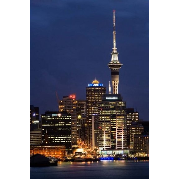 City skyline at night, Auckland CBD, North Island, New Zealand Poster Print by David Wall (12 x 17)